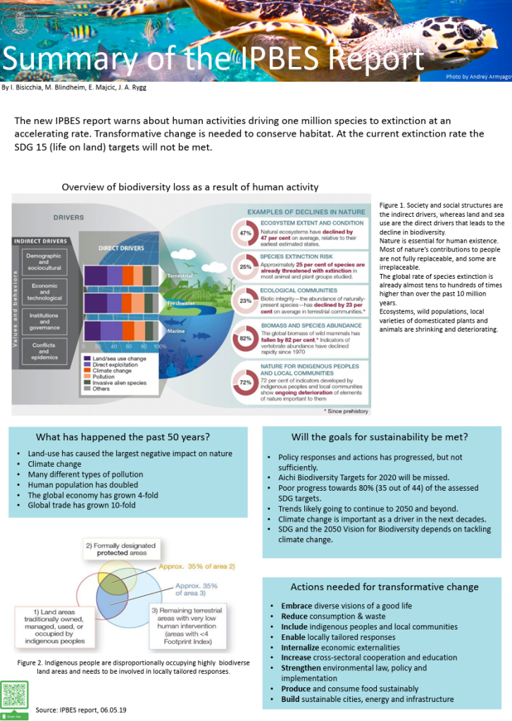 screenshot of the poster entitled Summary of the IPBES Report