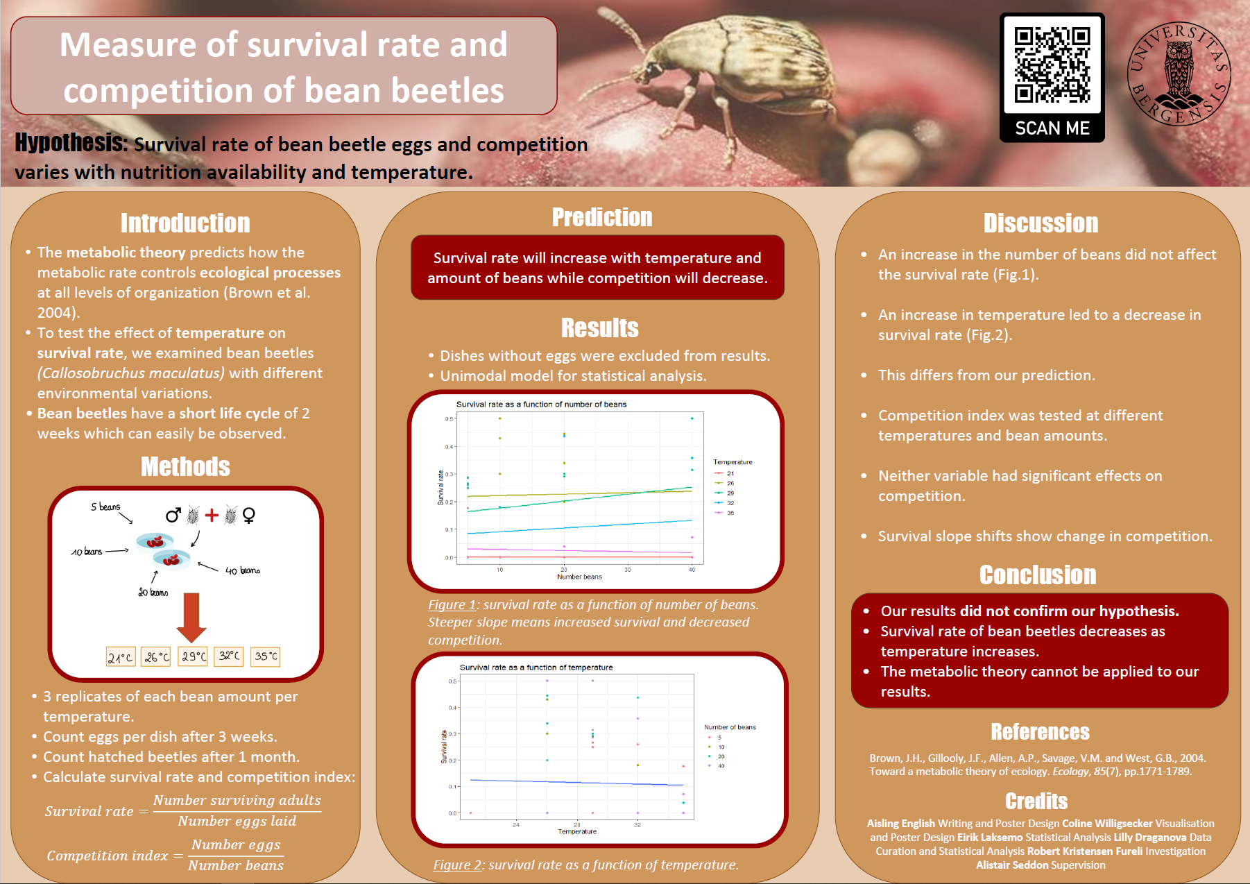 Measure of survival rate and competition of bean beetles