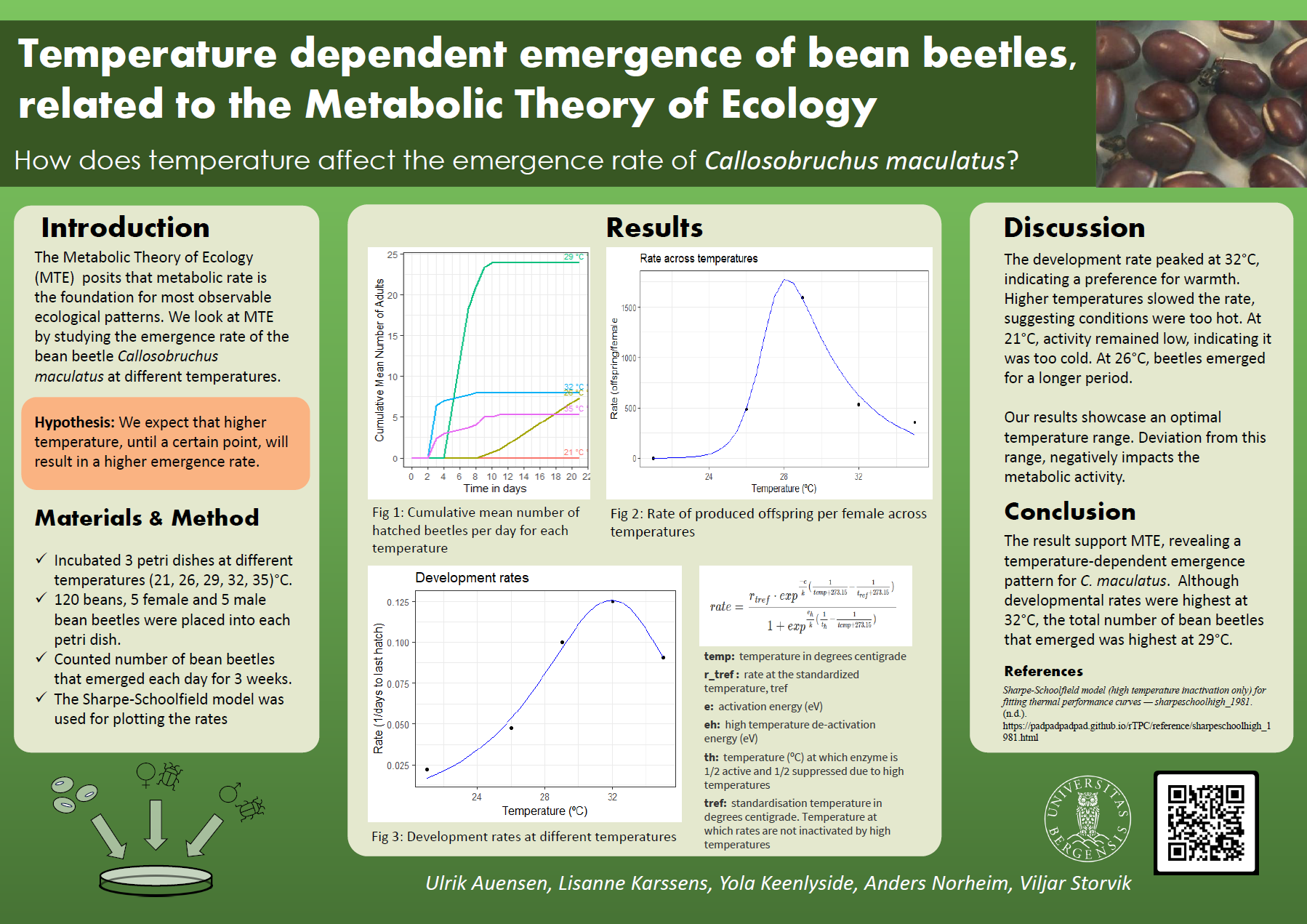 Temperature dependent emergence of bean beetles, related to the Metabolic Theory of Ecology