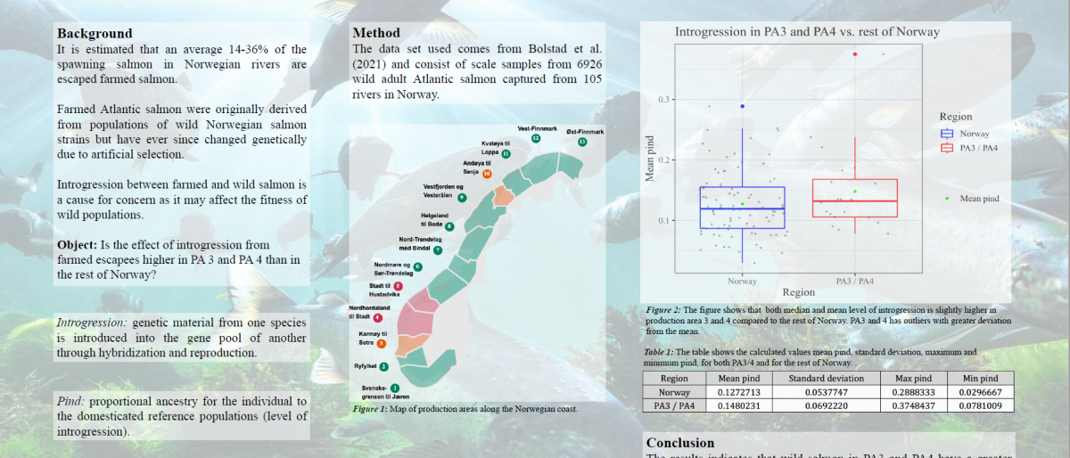 Level of introgression from farmed escaped salmon in PA3 and PA4 compared to the rest of Norway