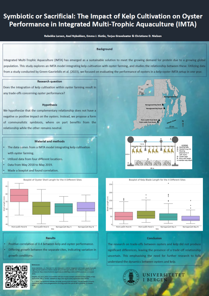 Symbiotic or Sacrificial: The Impact of Kelp Cultivation on Oyster Performance in Integrated Multi-Trophic Aquaculture (IMTA)