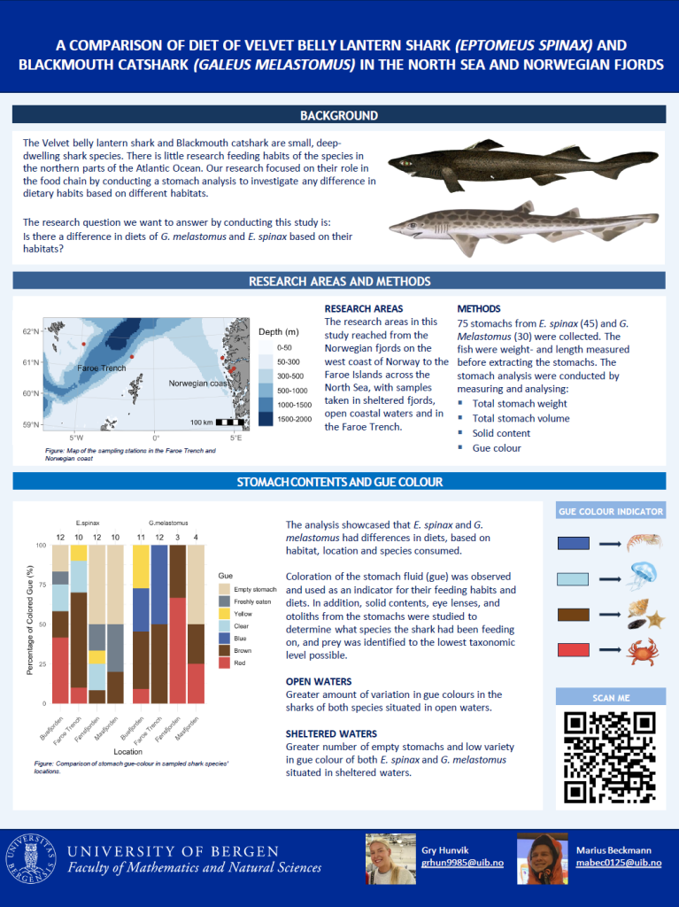 A COMPARISON OF DIET OF VELVET BELLY LANTERN SHARK (EPTOMEUS SPINAX) AND BLACKMOUTH CATSHARK (GALEUS MELASTOMUS) IN THE NORTH SEA AND NORWEGIAN FJORDS