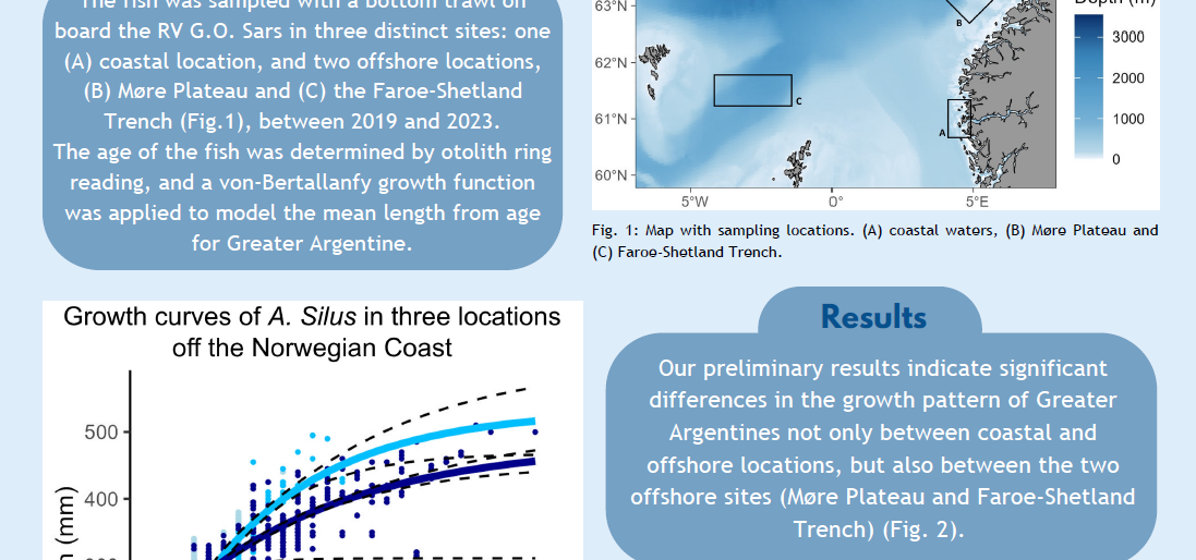 Differences in growth of Greater Argentine incoastal and offshore locations