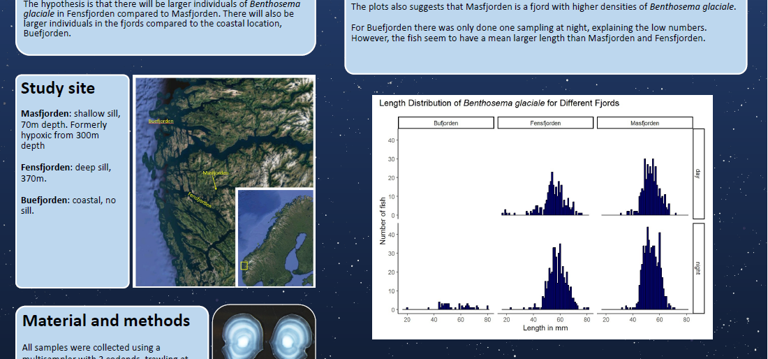 Length at age distribution of the glacier lanternfish, Benthosema glaciale, in Norwegian fjords