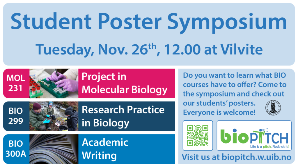 invitation to the poster symposium at Vilvite on November 26th