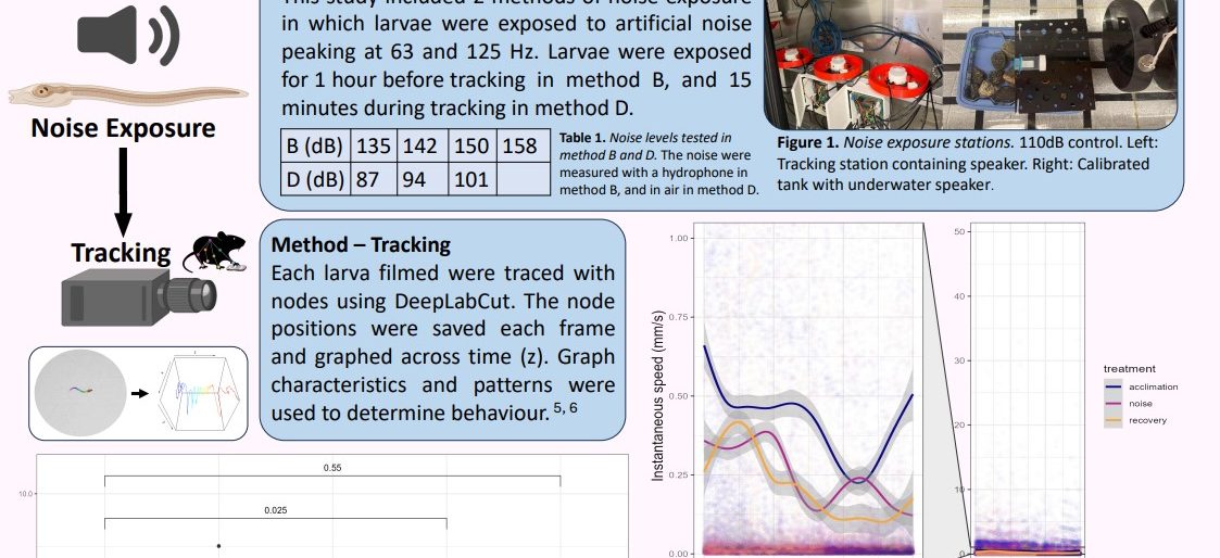 Poster entitled The effects of noise exposure on Ciona intestinalis larvae