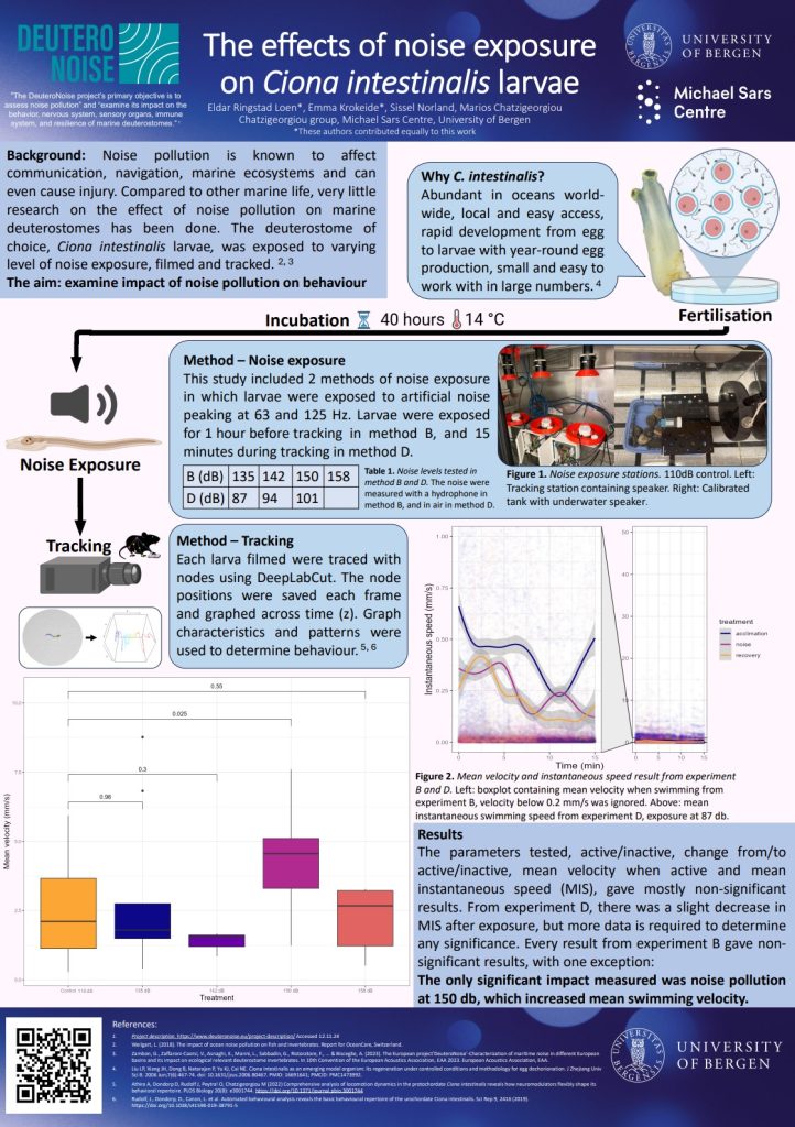 Poster entitled The effects of noise exposure on Ciona intestinalis larvae