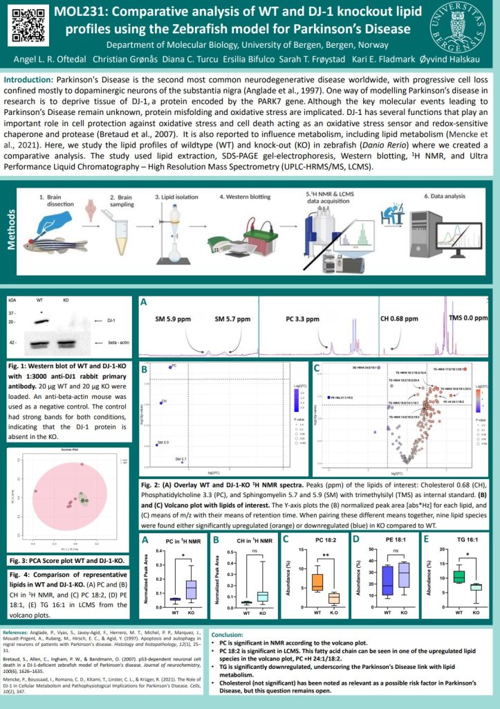 Poster entitled Comparative analysis of WT and DJ-1 knockout lipid profiles using the Zebrafish model for Parkinson’s Disease