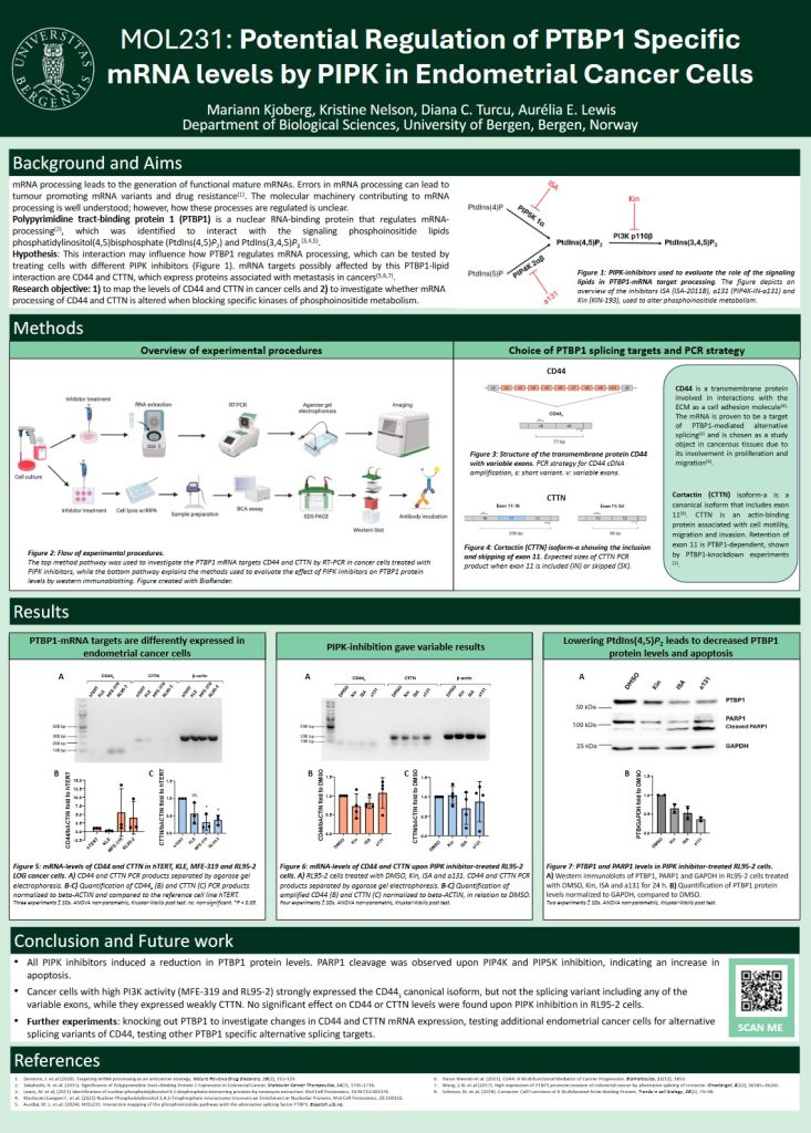 Poster entitled Potential Regulation of PTBP1 Specific mRNA levels by PIPK in Endometrial Cancer Cells