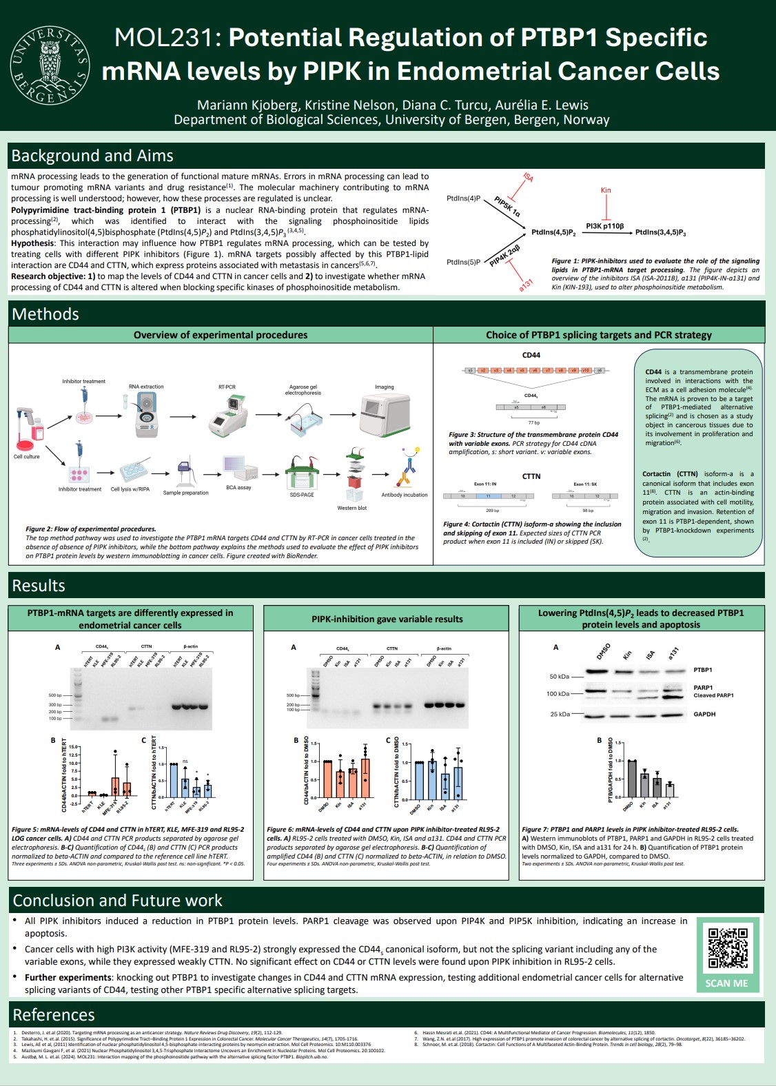 Poster entitled Potential Regulation of PTBP1 Specific mRNA levels by PIPK in Endometrial Cancer Cells