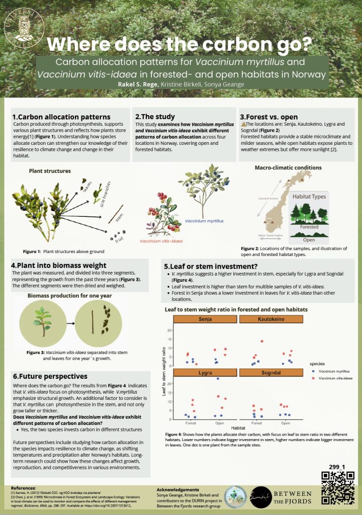 Poster entitled Where does the carbon go?