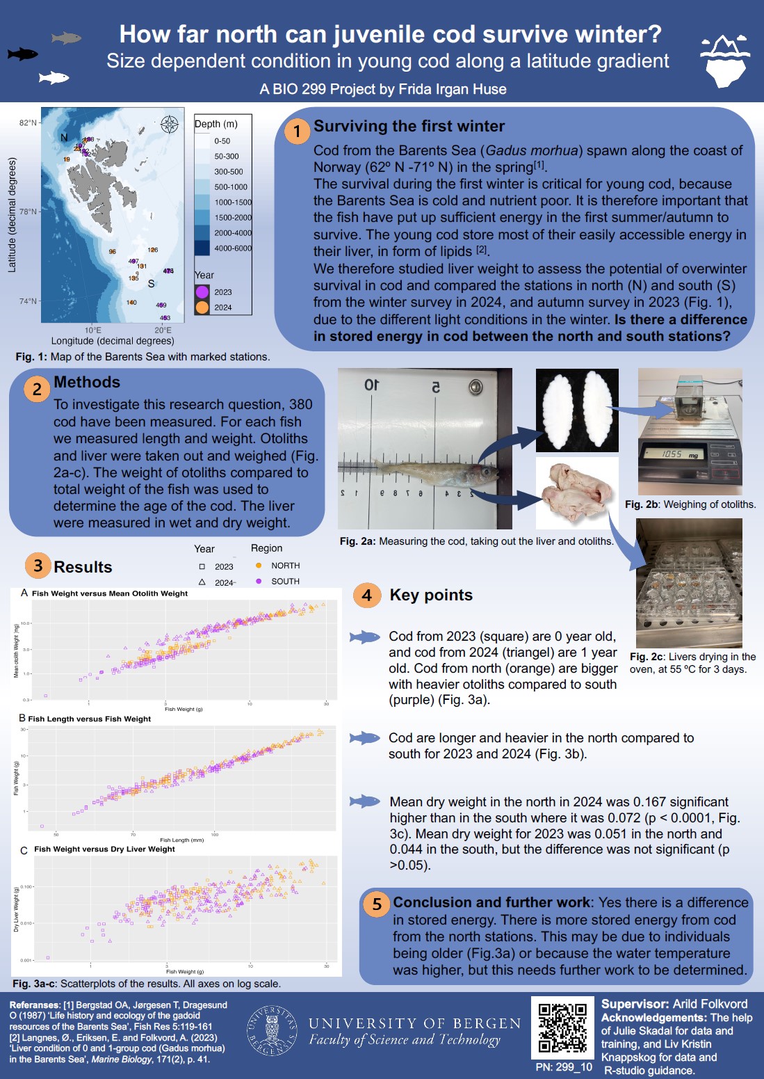 Poster entitled How far north can juvenile cod survive winter?