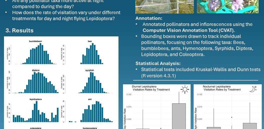 Poster entitled Nocturnal Pollination in Alpine Grasslands - Investigating Lepidoptera Activity Across Treatments