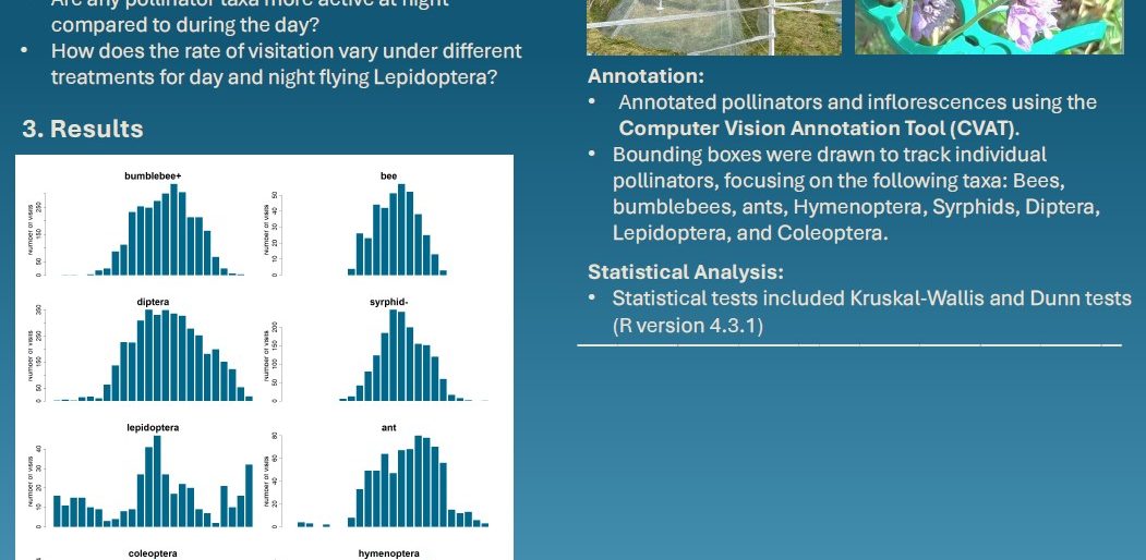 Poster entitled Nocturnal Pollination in Alpine Grasslands - Investigating Lepidoptera Activity Across Treatments