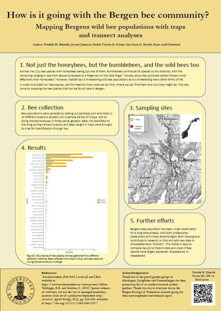 Poster entitled How is it going with the Bergen bee community - Mapping Bergens wild bee populations with traps and transect analyses