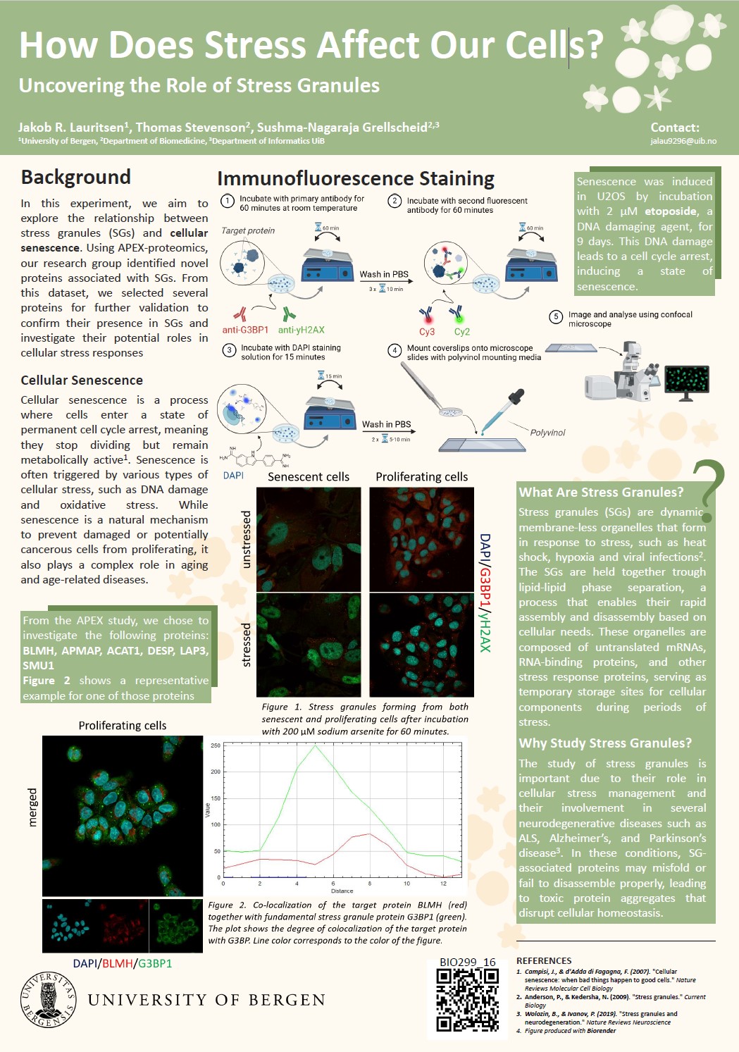 Poster entitled How Does Stress Affect Our Cells? Uncovering the Role of Stress Granules