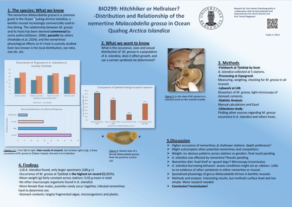 Poster entitled Hitchhiker or Hellraiser?
‐Distribution and Relationship of the
nemertine Malacobdella grossa in Ocean
Quahog Arctica Islandica