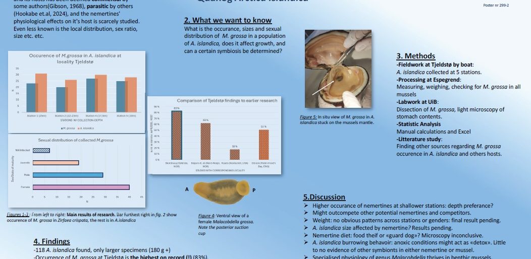 Poster entitled Hitchhiker or Hellraiser? ‐Distribution and Relationship of the nemertine Malacobdella grossa in Ocean Quahog Arctica Islandica