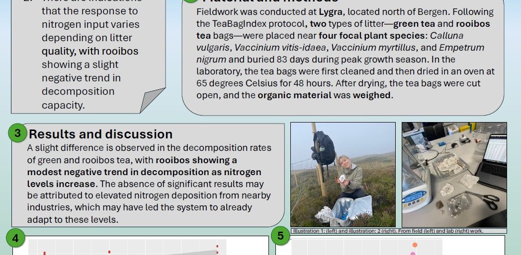 Poster entitled How will the decomposition in costal heathlands be affected by nitrogen addition