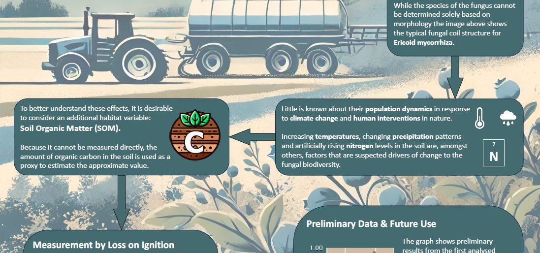 Poster entitled What Role Does Soil Organic Matter Play in Shaping Ericoid Mycorrhizal Populations?