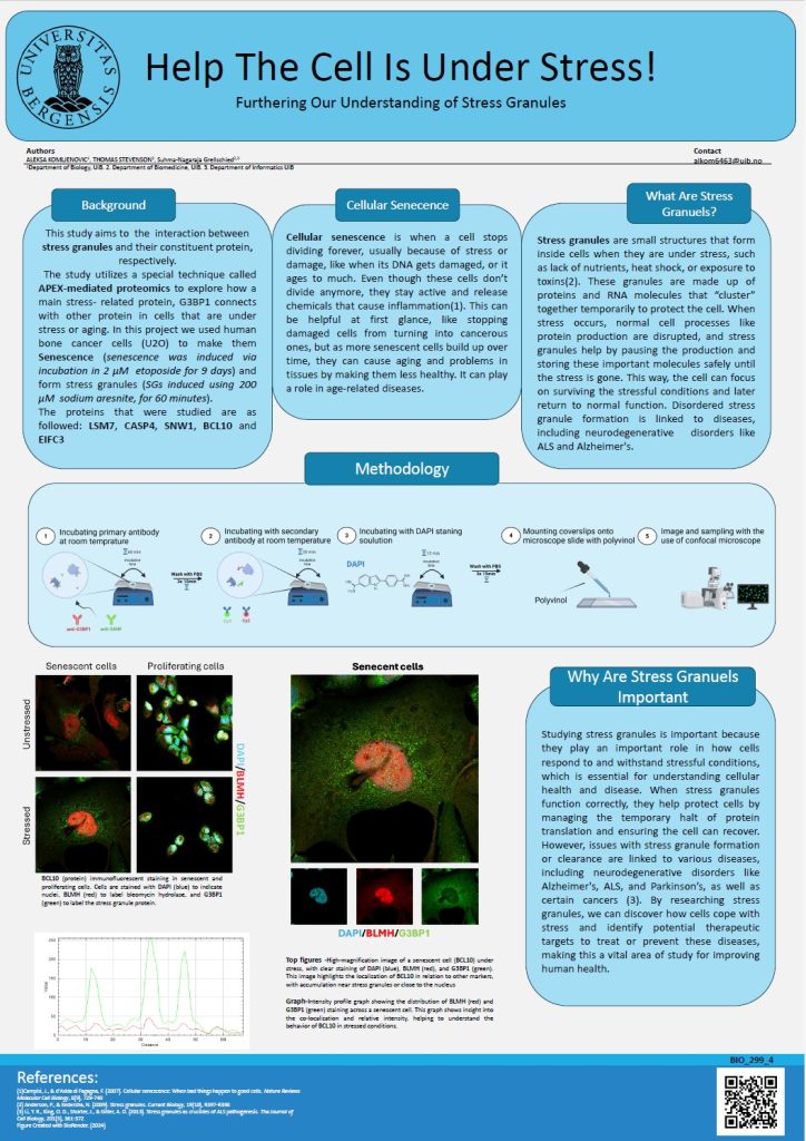 Help The Cell Is Under Stress!
Furthering Our Understanding of Stress Granules