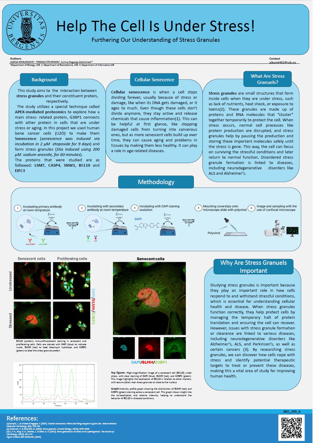 Help The Cell Is Under Stress! Furthering Our Understanding of Stress Granules