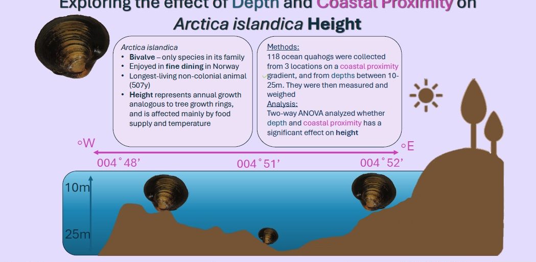 Poster entitled Where to find the biggest shell Exploring the effect of Depth and Coastal Proximity on Arctica islandica Height