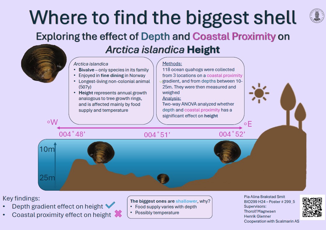 Poster entitled Where to find the biggest shell Exploring the effect of Depth and Coastal Proximity on Arctica islandica Height