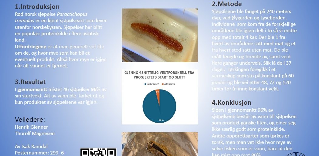 Poster entitled Småskalaproduksjon og bearbeiding av sjøpølse Paractichopustremulusi akvakultur