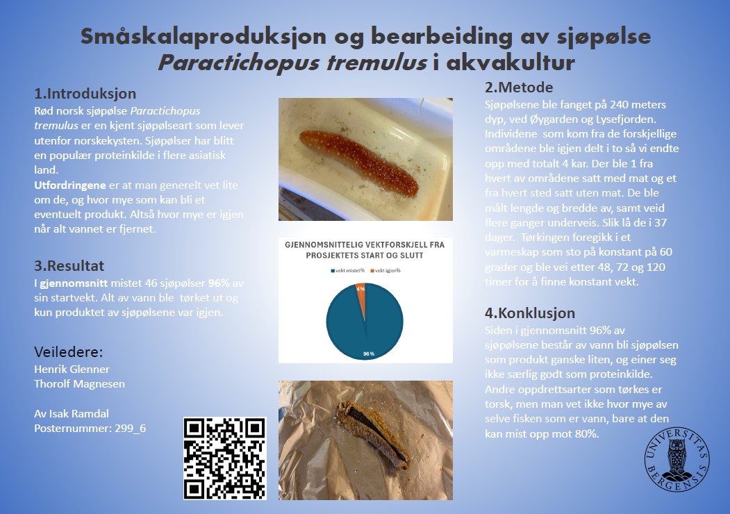 Poster entitled Småskalaproduksjon og bearbeiding av sjøpølse Paractichopustremulusi akvakultur