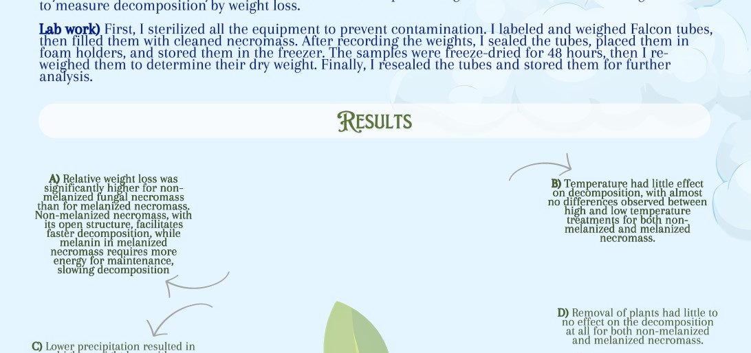 Poster entitled What does it take to make carbon stick around?