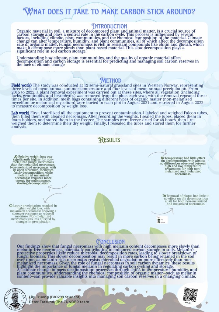 Poster entitled What does it take to make carbon stick around?