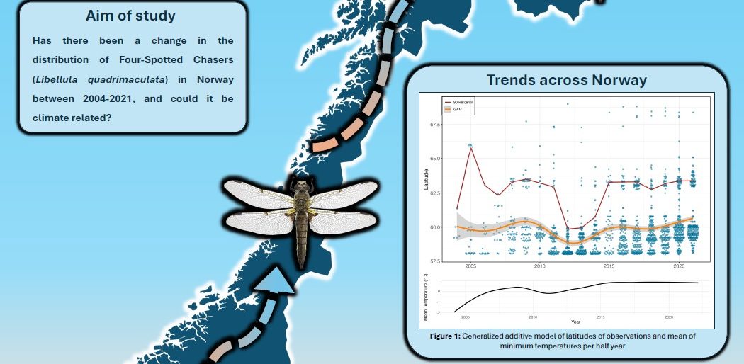 Poster entitled Chasing Northward? A Shift in Four-Spotted Chaser Distribution