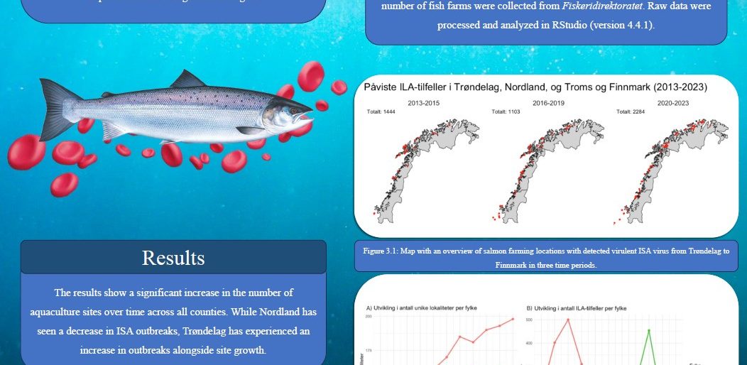 Poster entitled Distribution of infectious salmon anemia (ISA) in Trøndelag and Northern Norway