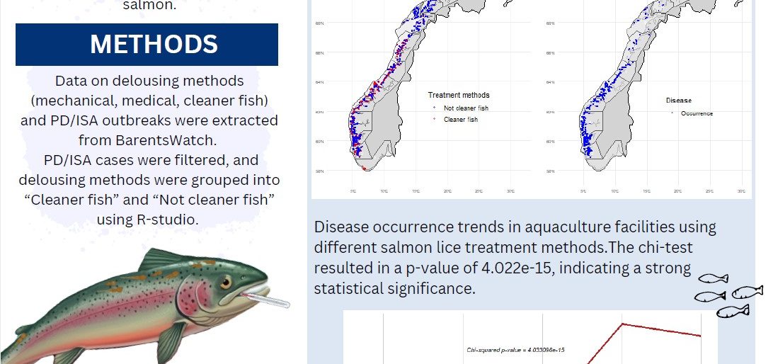 Poster entitled Are Cleaner Fish Helping or Harming Norwegian Salmon?