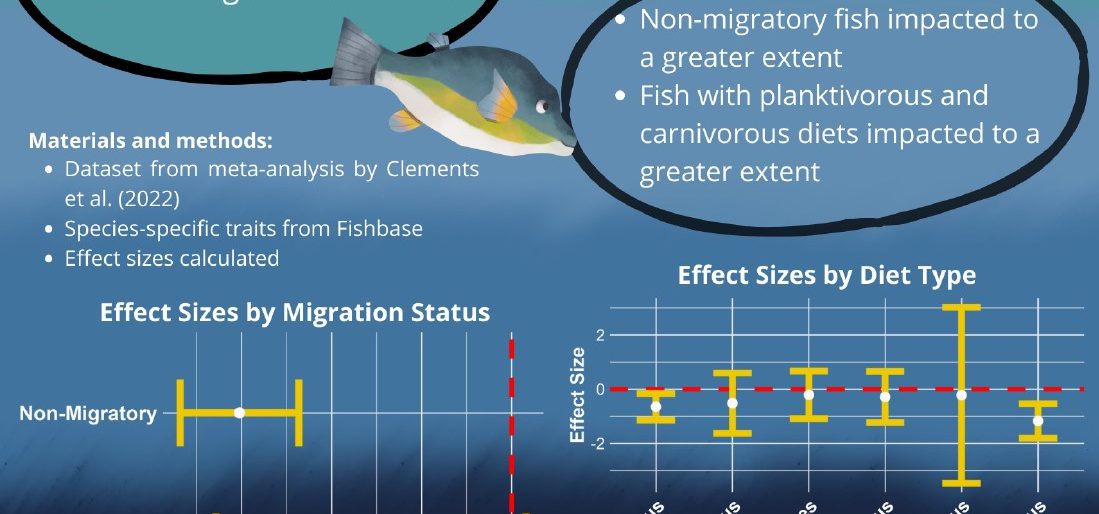 Poster entitled Something smells fishy