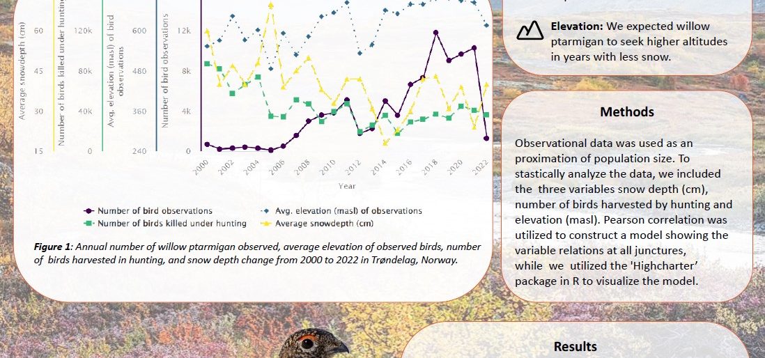 Poster entitled Snow, Shotguns and Survival: How Snow Depth and Hunting Shape Willow Ptarmigan (L. lagopus) Populations in Trøndelag