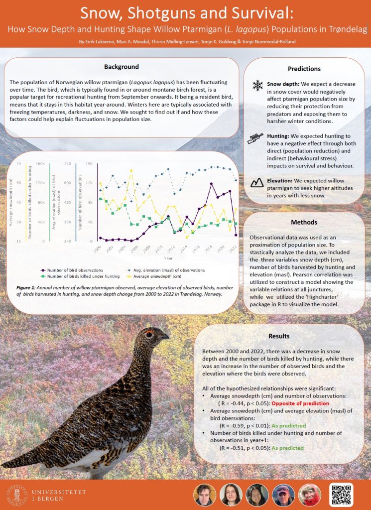 Poster entitled Snow, Shotguns and Survival: How Snow Depth and Hunting Shape Willow Ptarmigan (L. lagopus) Populations in Trøndelag