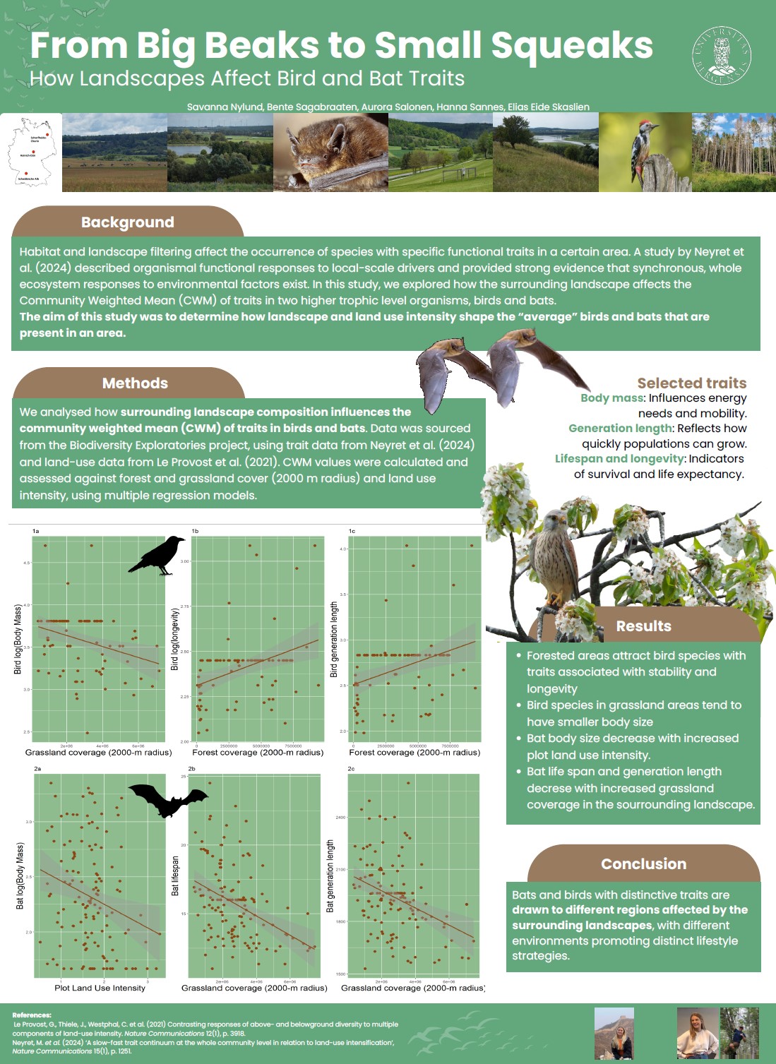 From Big Beaks to Small Squeaks - How Landscapes Affect Bird and Bat Traits