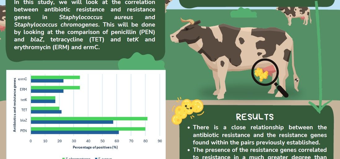 BOVINE MASTITIS - Is there correlation between antibiotic resistance and resistance genes?