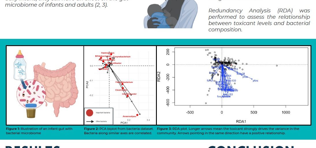 Poster entitled Tiny Guts, Big Problems - How Can Toxicants From Breast Milk Affect Gut Microbiomes?