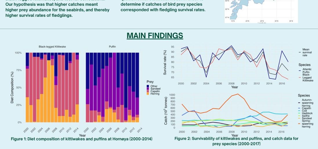 Poster entitled Fishing for answers can fisheries catches be used to predict seabird diet and survival