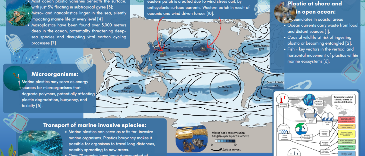Screenshot of the poster entitled Plastic on the Move: How Ocean Currents Spread Pollution Across Ecosystems