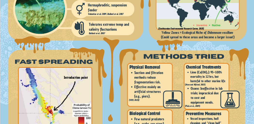 Screenshot of the poster entitled SEA VOMIT - A Sticky Situation: Can We Stop Sea Vomit?