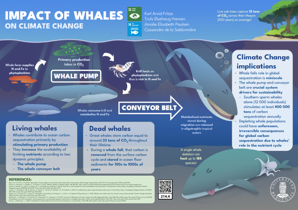 Screenshot of the poster entitled IMPACT OF WHALES ON CLIMATE CHANGE 