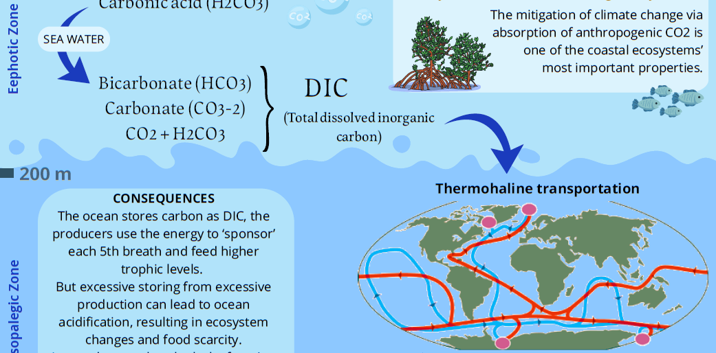 Screenshot of the poster entitled Ocean Sequestration - THE JOURNEY FROM ATMOSPHERE TO THE ABYSS