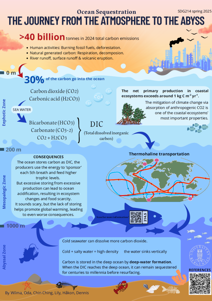 Screenshot of the poster entitled Ocean Sequestration - THE JOURNEY FROM ATMOSPHERE TO THE ABYSS
