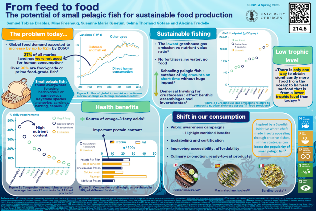 Screenshot of the poster entitled From feed to food
The potential of small pelagic fish for sustainable food production 