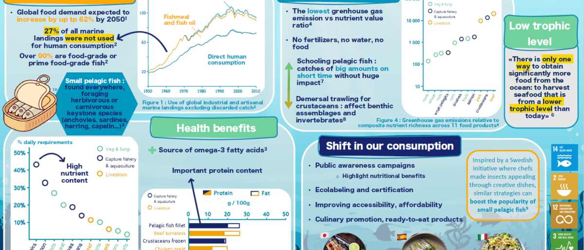 Screenshot of the poster entitled From feed to food The potential of small pelagic fish for sustainable food production