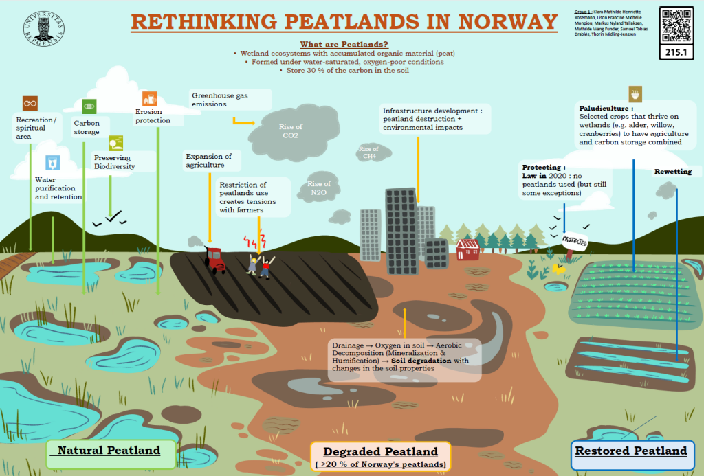 Screenshot of the poster entitled RETHINKING PEATLANDS IN NORWAY